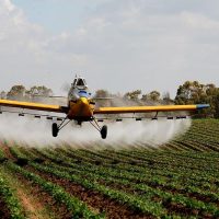 הפתרון האקולוגי לבעיית הריסוס